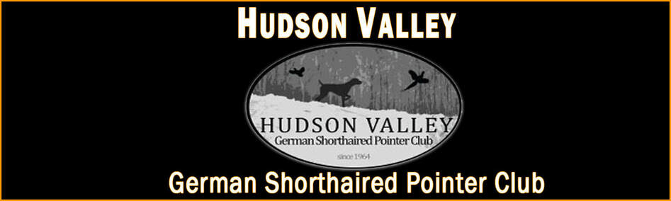 HUDSON VALLEY GERMAN SHORTHAIRED POINTER CLUB